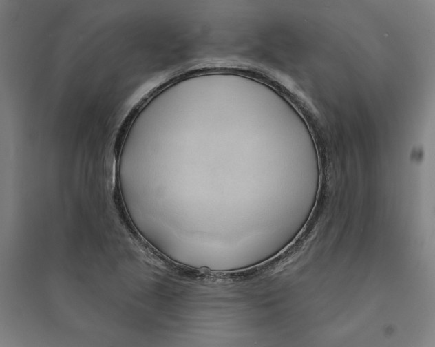 X0000094351221200711301354