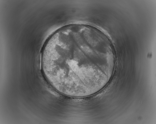 X0000094351223200711301354