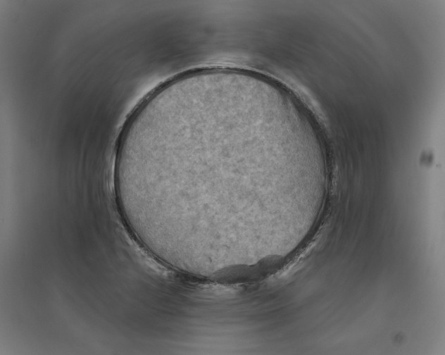 X0000094351224200711301354