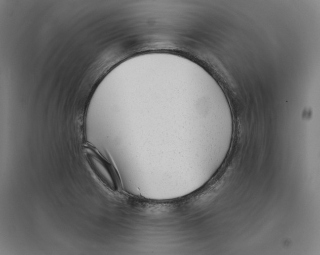 X0000094351225200711301354