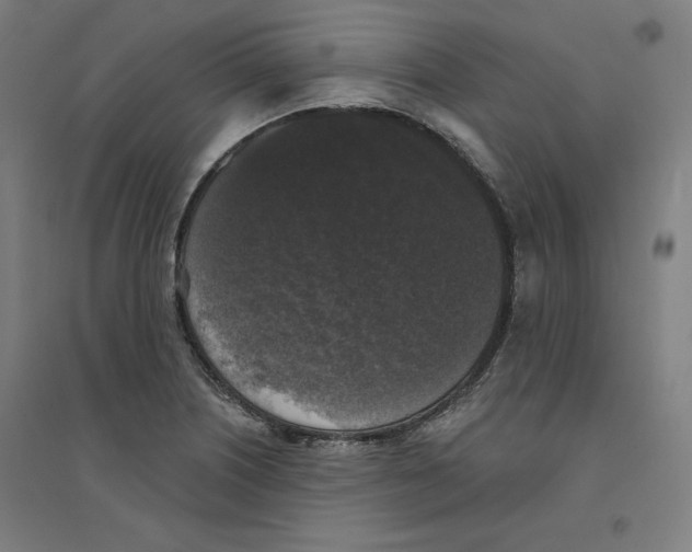 X0000094351226200711301354