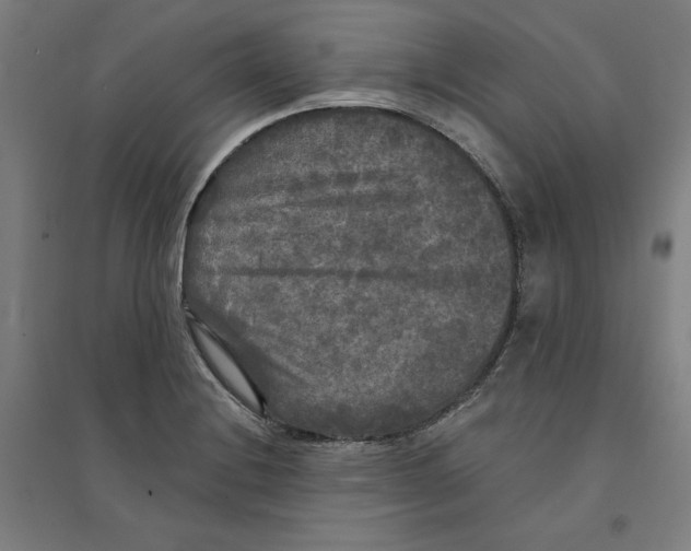 X0000094351228200711301354