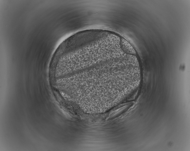 X0000094351230200711301354