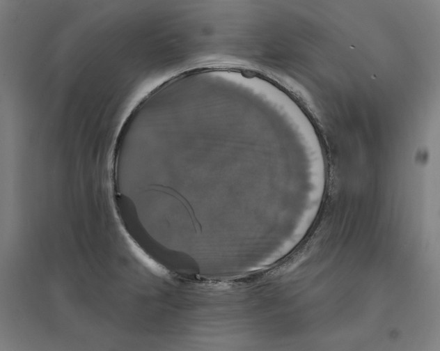 X0000094351231200711301354