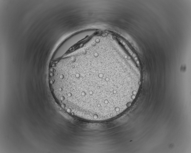 X0000094351232200711301354