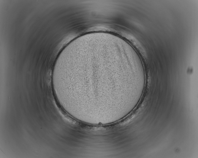X0000094351233200711301354