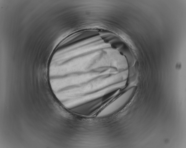 X0000094351234200711301354
