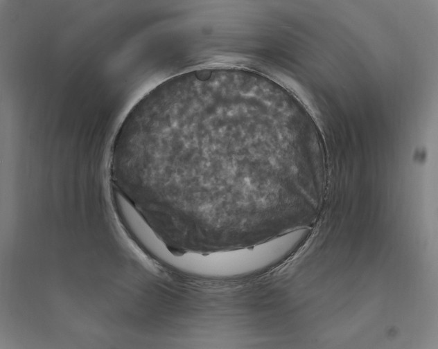 X0000094351235200711301354