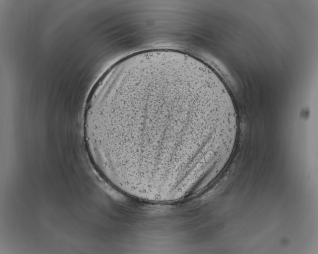 X0000094351236200711301354