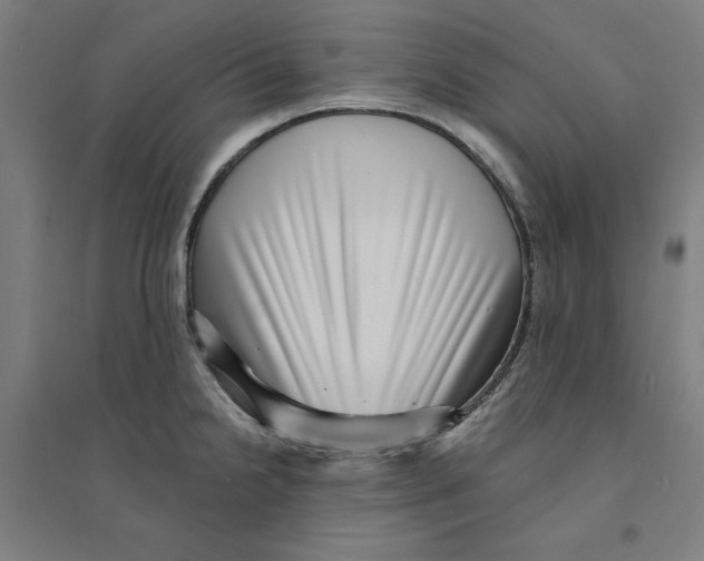 X0000094351238200711301354