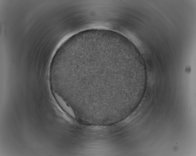X0000094351240200711301354