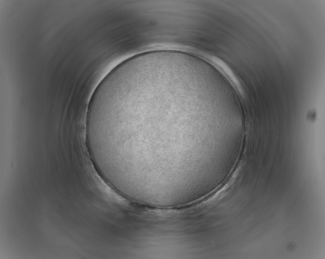 X0000094351244200711301354