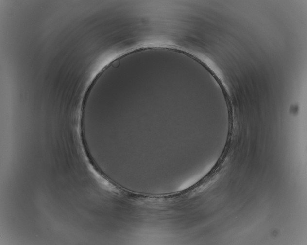 X0000094351245200711301354