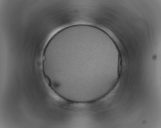 X0000094351246200711301354