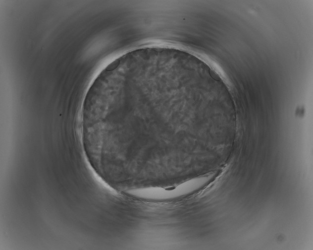 X0000094351247200711301354