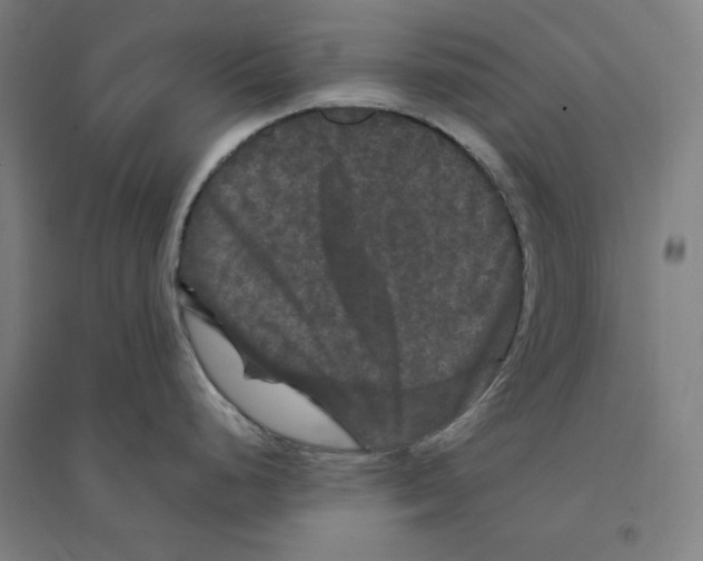X0000094351248200711301354