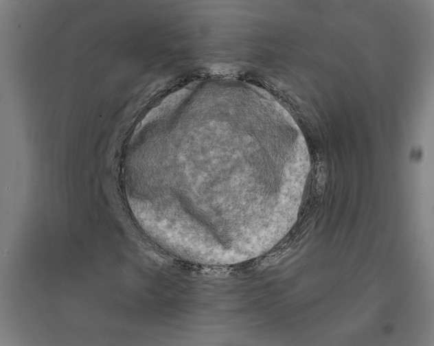 X0000094351249200711301353