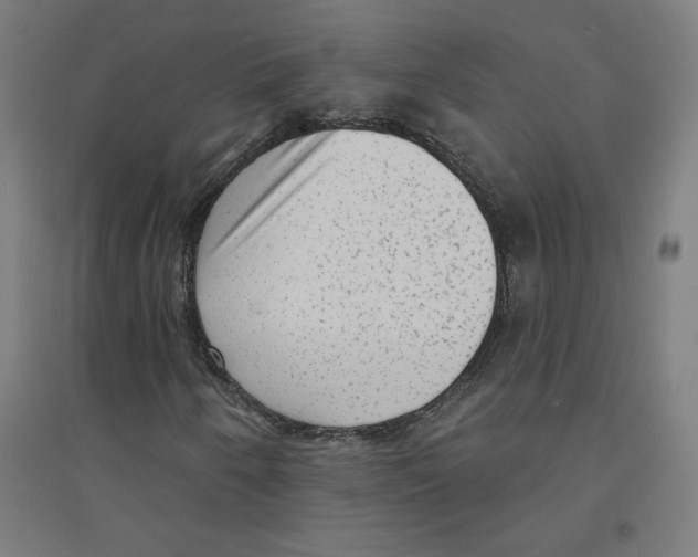 X0000094351250200711301353