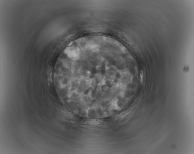 X0000094351251200711301353