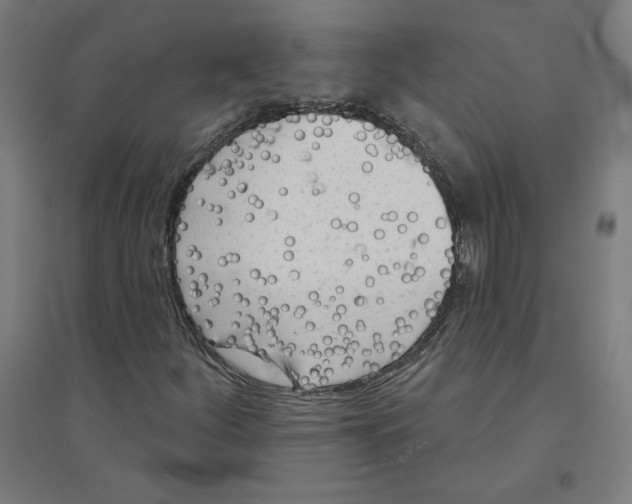 X0000094351252200711301353