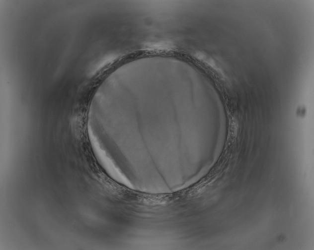 X0000094351254200711301353