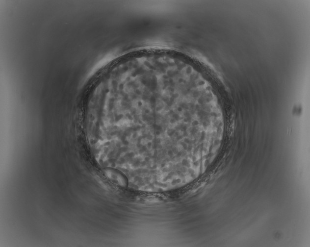 X0000094351255200711301353