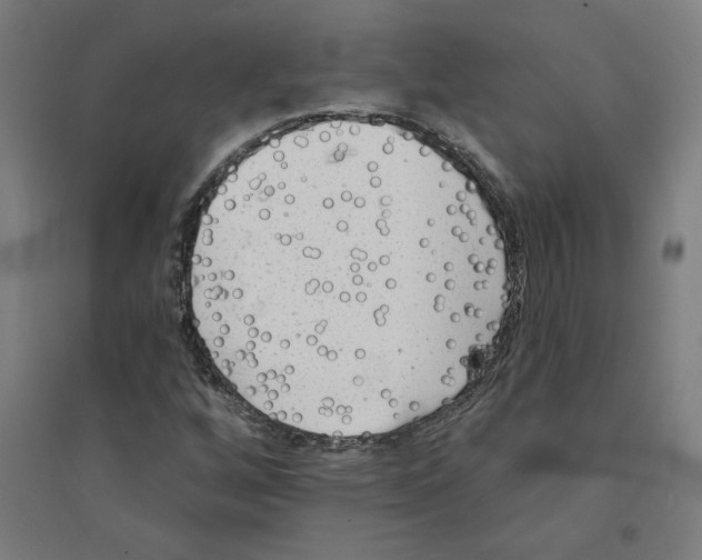 X0000094351256200711301353