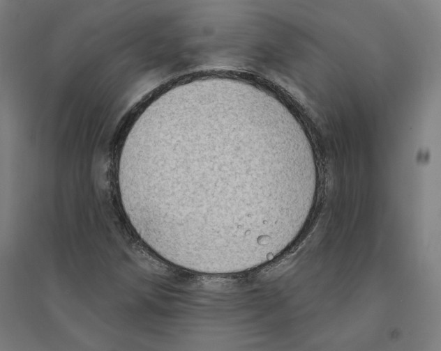 X0000094351258200711301353