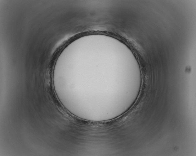 X0000094351262200711301353