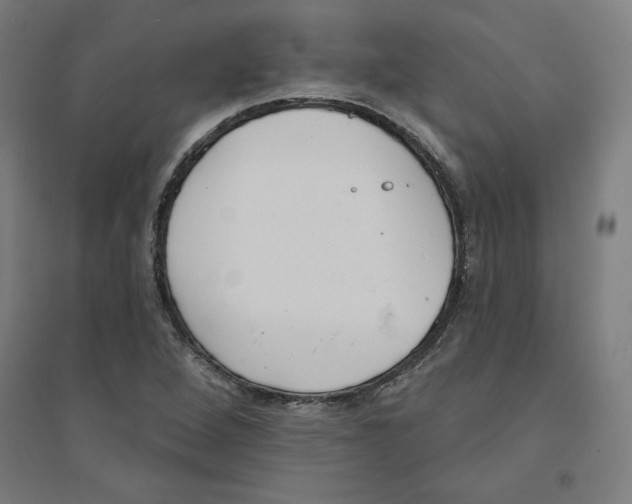 X0000094351264200711301353