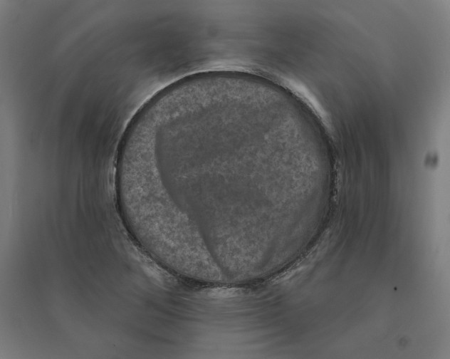 X0000094351268200711301353