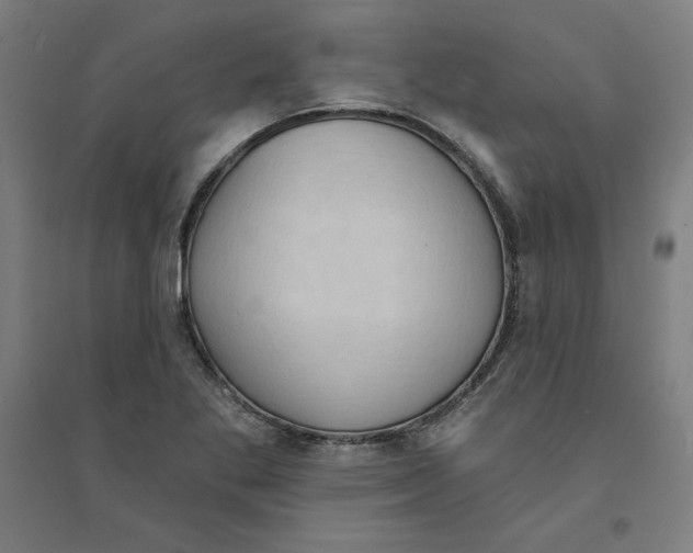X0000094351269200711301353