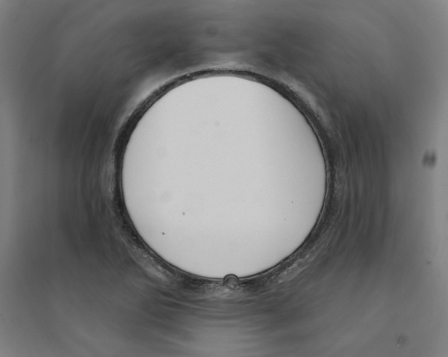 X0000094351270200711301353