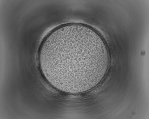 X0000094351271200711301353