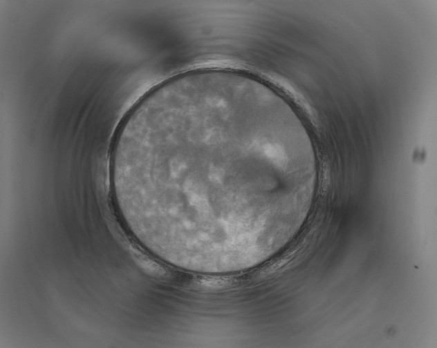 X0000094351274200711301353