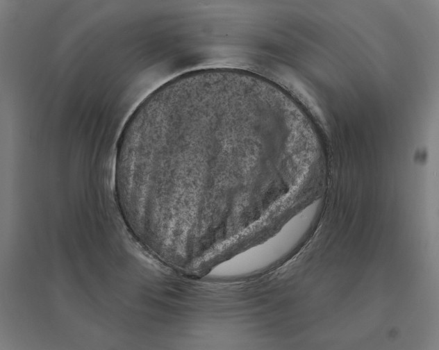 X0000094351276200711301353