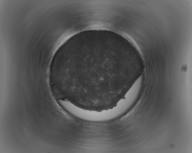 X0000094351277200711301353