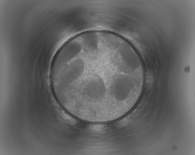 X0000094351278200711301353