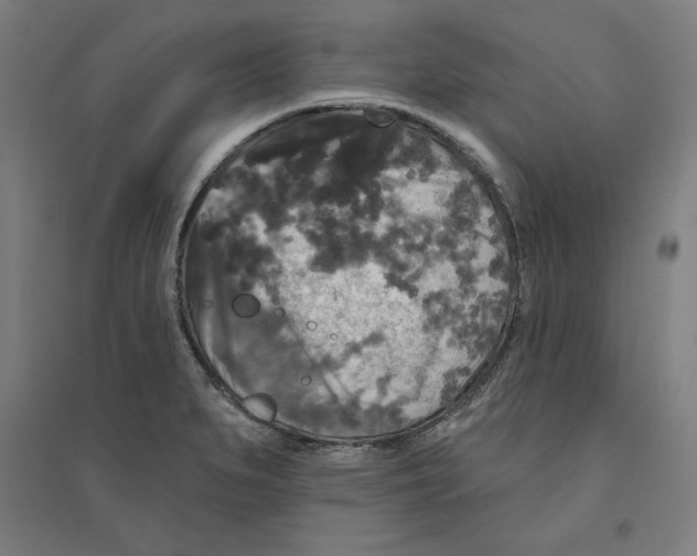 X0000094351279200711301353