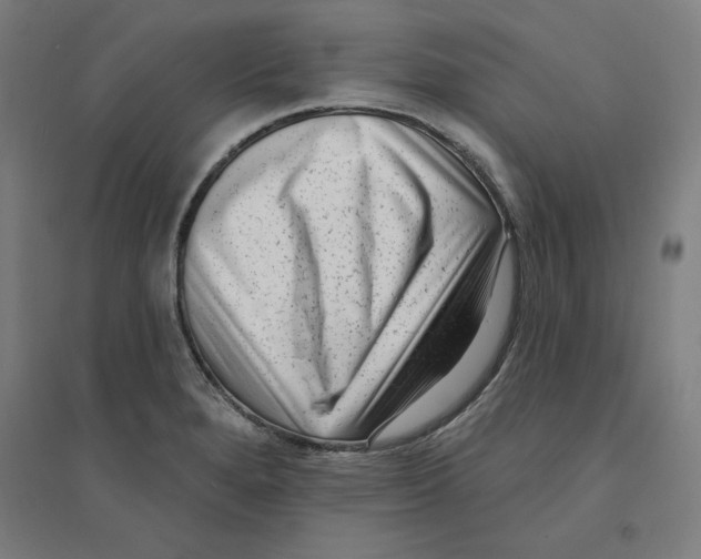 X0000094351280200711301353