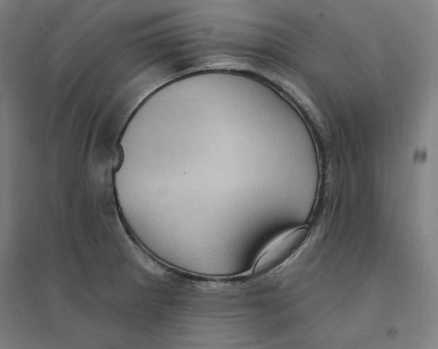 X0000094351281200711301353