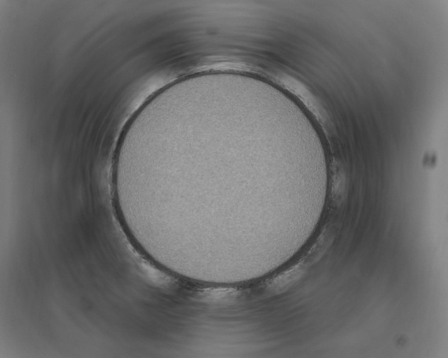 X0000094351282200711301353