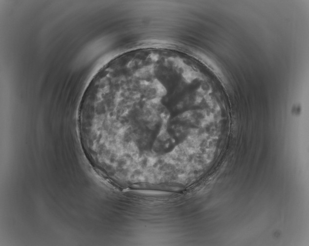 X0000094351283200711301353
