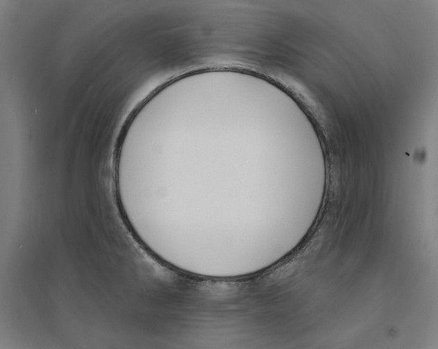 X0000094351286200711301353