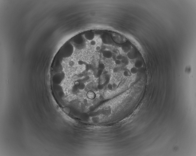 X0000094351287200711301353
