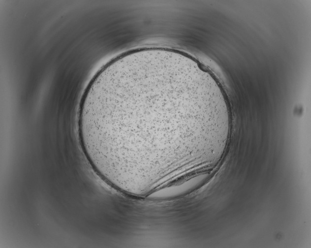 X0000094351288200711301353
