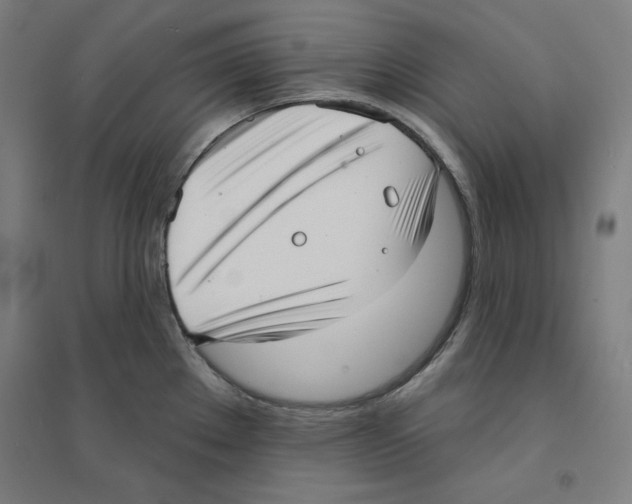 X0000094351289200711301353