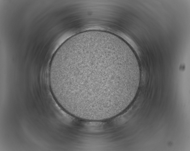 X0000094351290200711301353