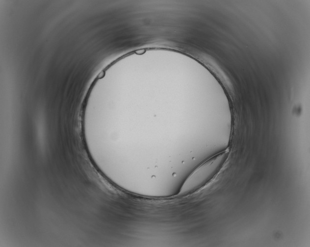 X0000094351292200711301353