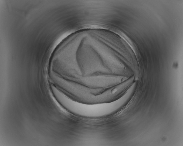 X0000094351293200711301353